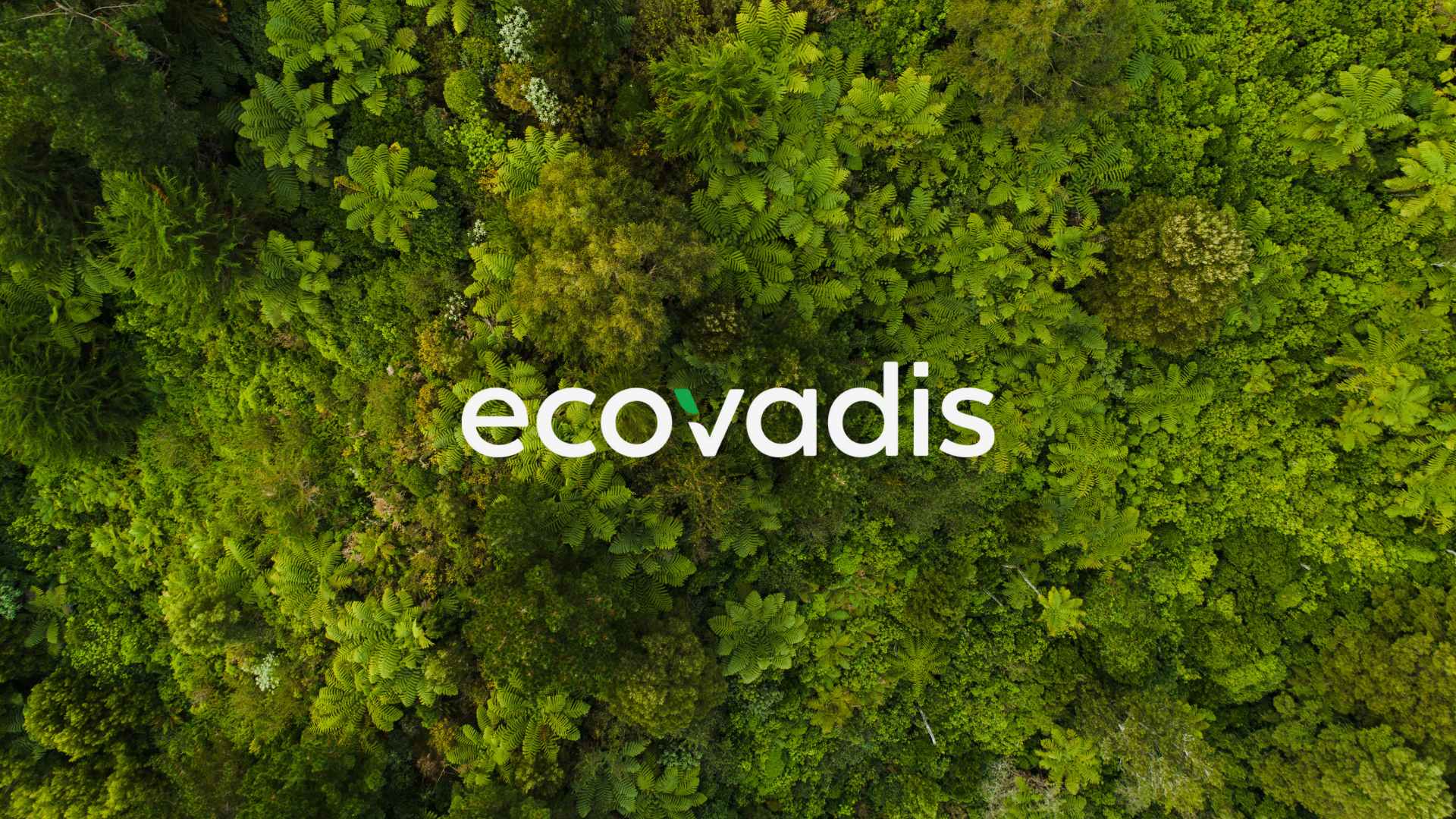 ecovadis